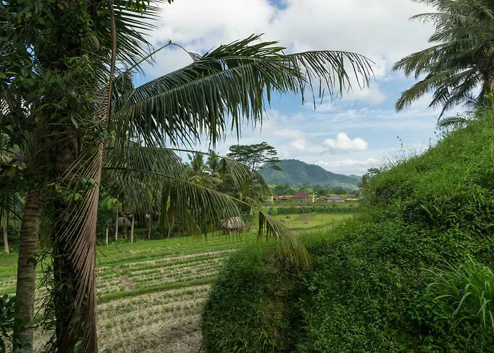 ベッド・アンド・ブレックファスト Pondok Damai Sidemen Karangasem
